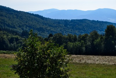 Parkplatz mit Aussicht auf den Bayerischen Wald