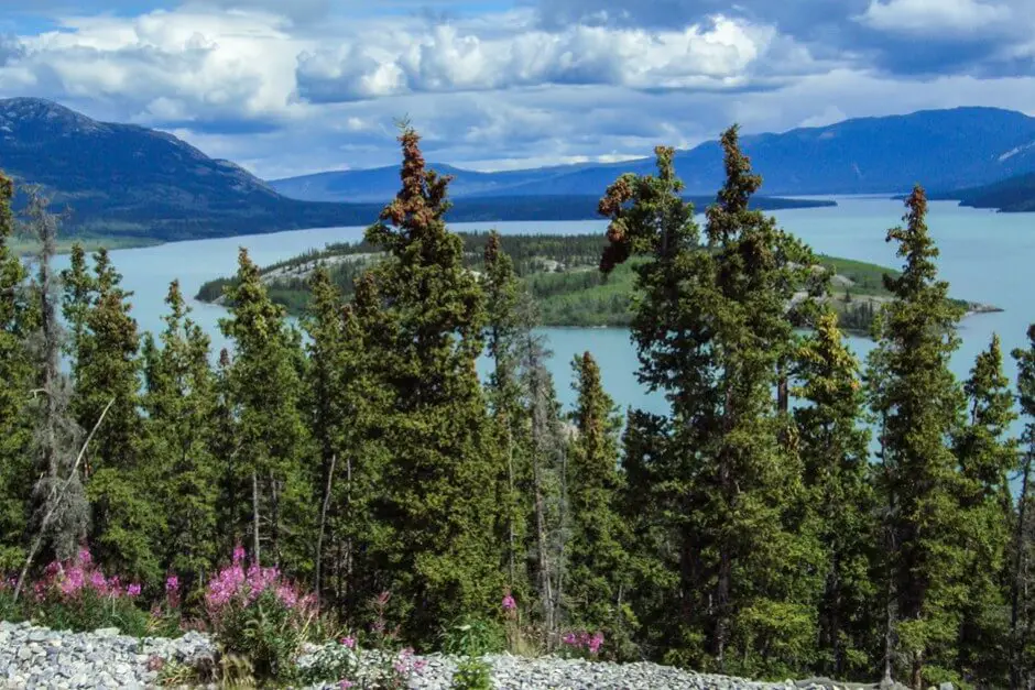 Bove Island in the Yukon