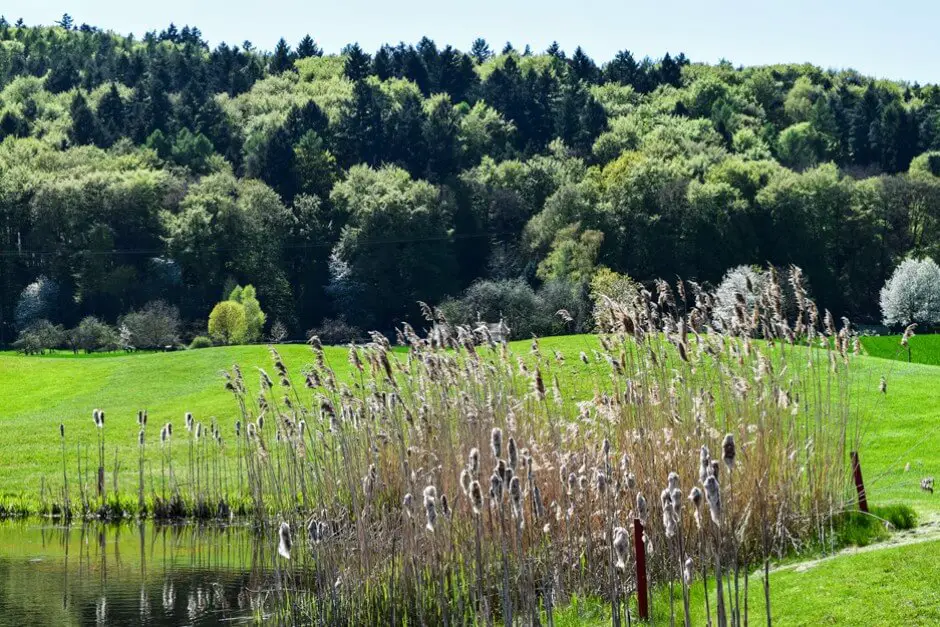 Schöne Ausblicke im Golfpark Rosenhof