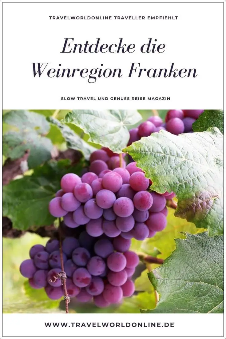 Discover the Franconian wine region