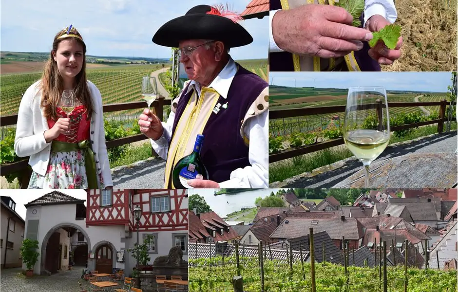 Mit dem Zehntgraf von Wipfeld unterwegs in der Weinregion Franken
