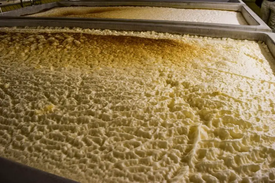 Open fermentation of the Kräusen beer of the brewery Faust