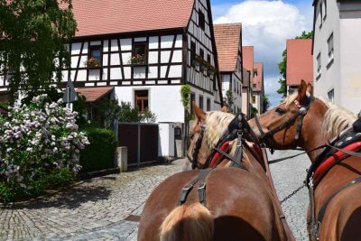 Slow Travel in Bayern: per Pferdekutsche in Neuses