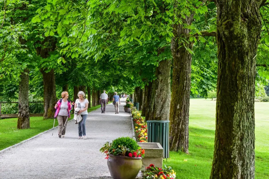 Allee in Volcji Potok