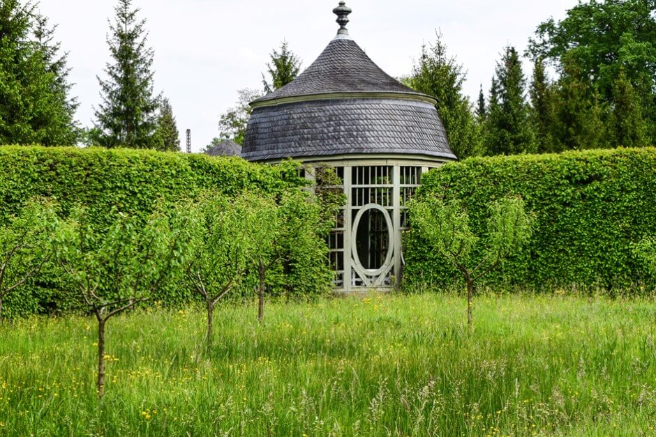 An Blumen haben wir fast nur Wildblumen gesehen Garten Pracht