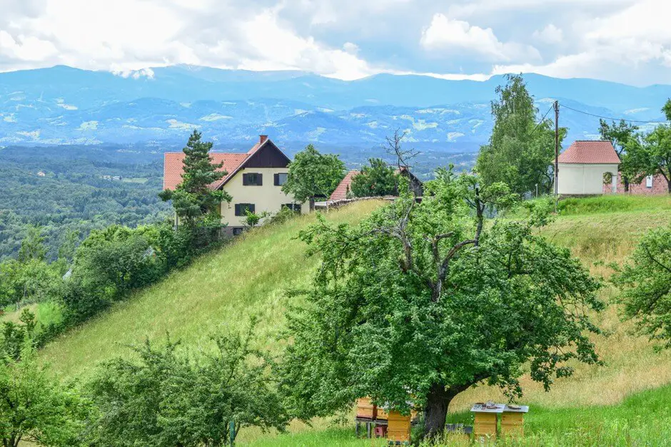 Die Sausaler Weinstraße genießen