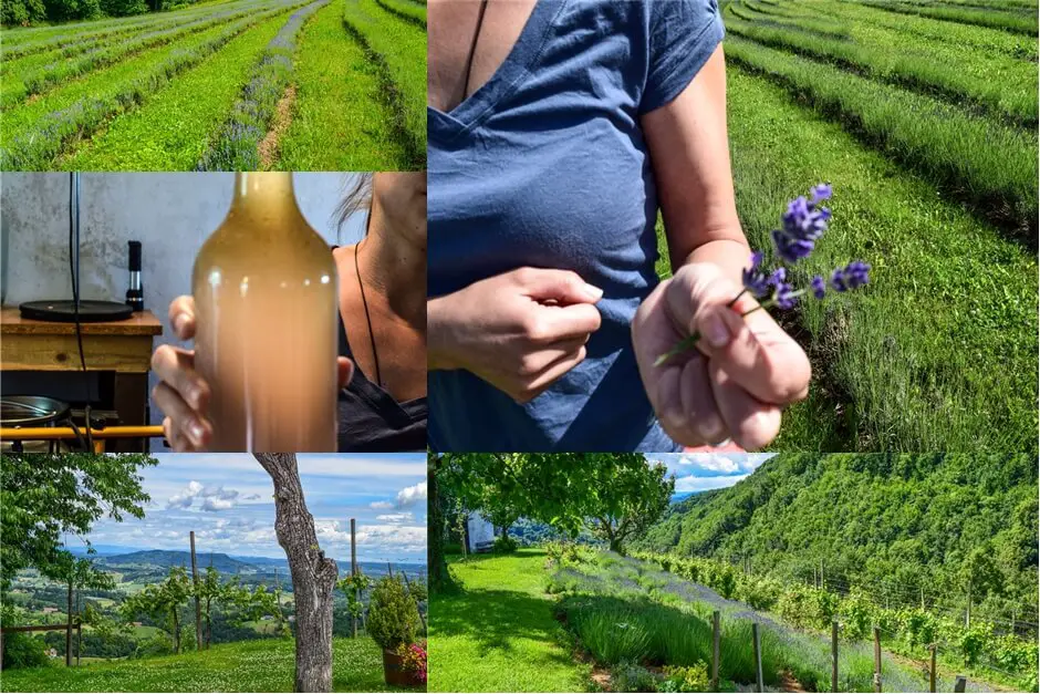 Lavender products from Styria