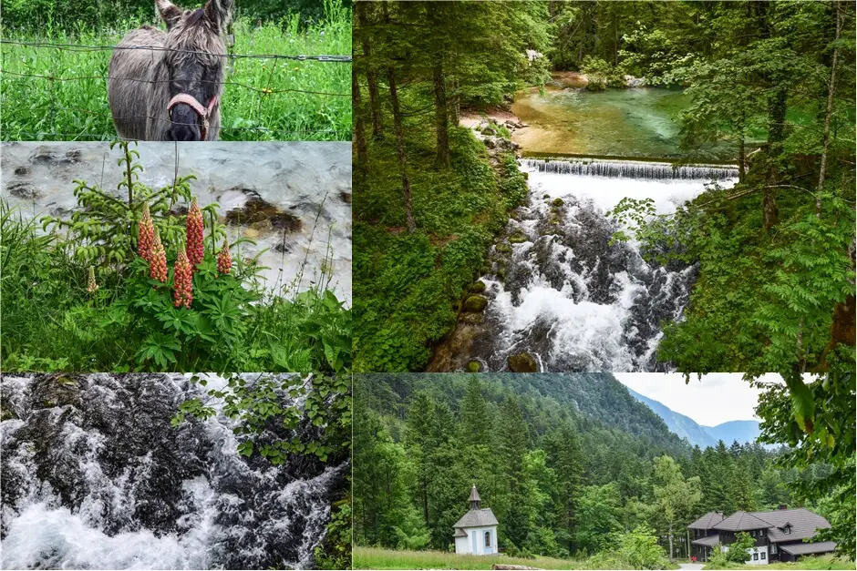 Valley of Kamniska Bistrica