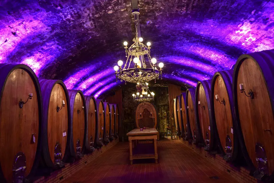 Experience wine in Winzerkeller Sommerach