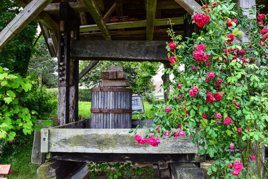 Alte Weinpresse