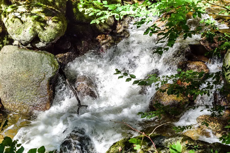 Hike through the Pesenbachtal