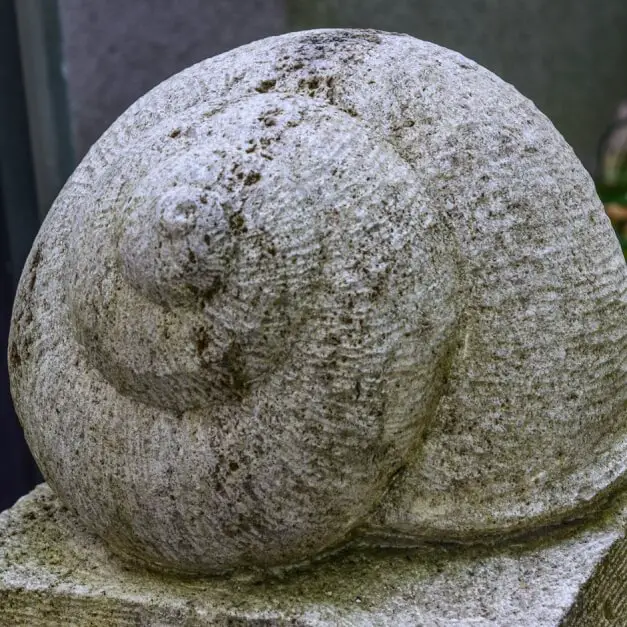 Schnecke