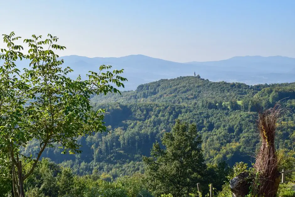 Dolenjska Weinregion bei Otocec