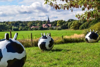 Kuheuter auf dem Kunstwanderweg