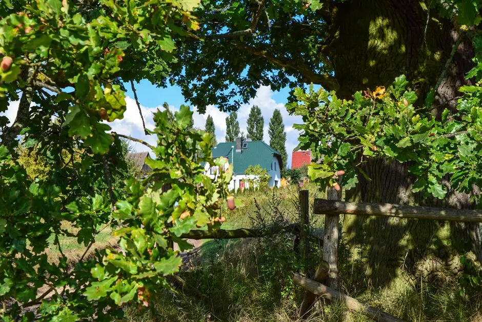 Break under the hazelnut tree - hiking alone is fun here