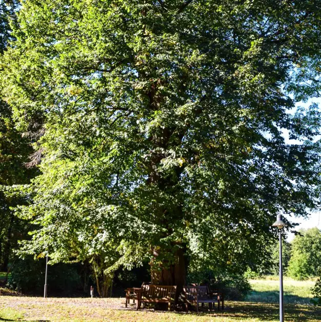 Stiller Rückzugsort im Kloster Lehnin