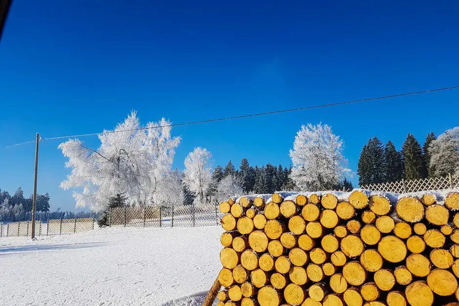 Winter impressions from the Waldviertel