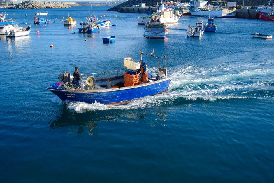 Fishing port of Sines belongs to the fishing path Portugal