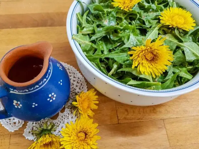 Country life and enjoyment - dandelion salad with flowers