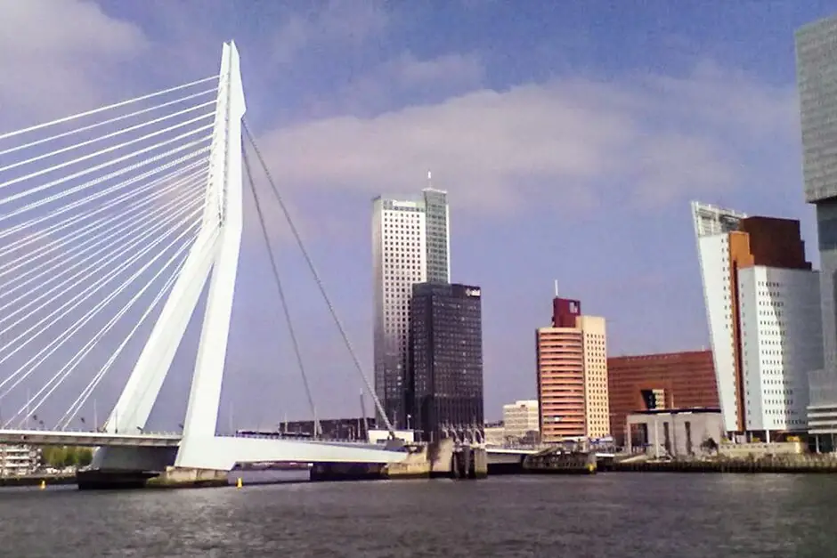 The Erasmus bridge in Rotterdam