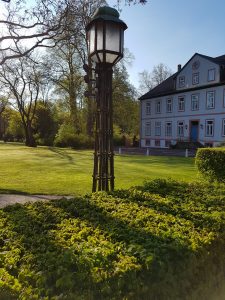Morgen im Gräflichen Park