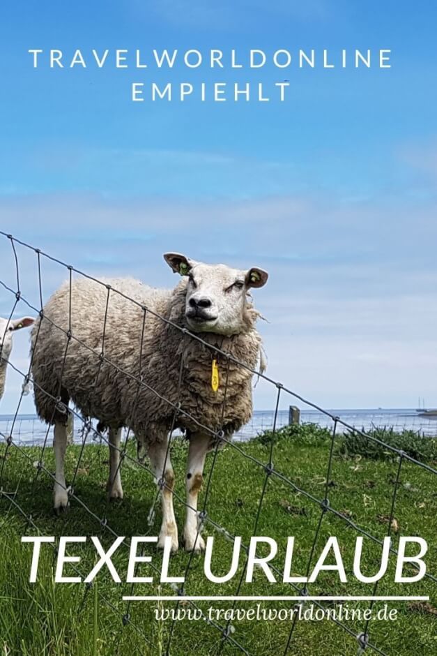 Texel Holidays Texel Island of Sheep