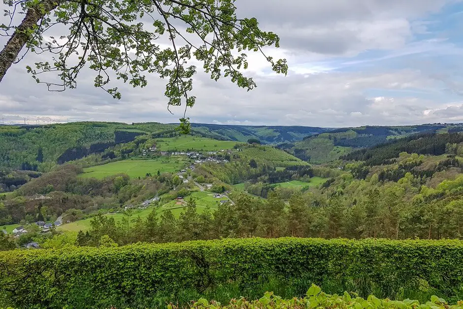 Aussicht auf den Eifel National Park