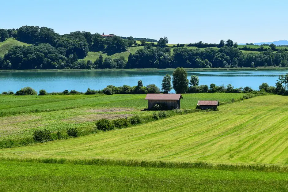 The Tachinger See