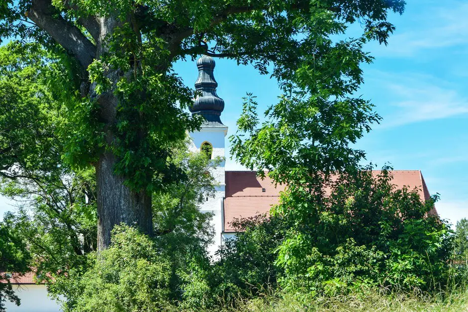 Kirche in Otting - Chiemgauer Alpen Panorama Tour