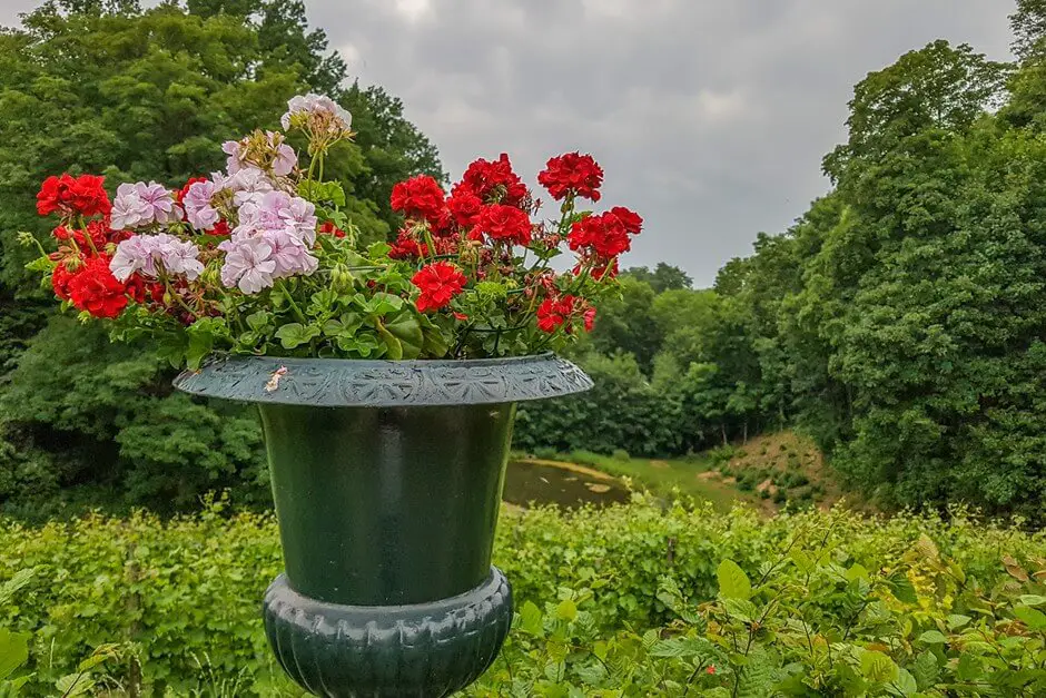 Schlosspark im Schloss Proschwitz