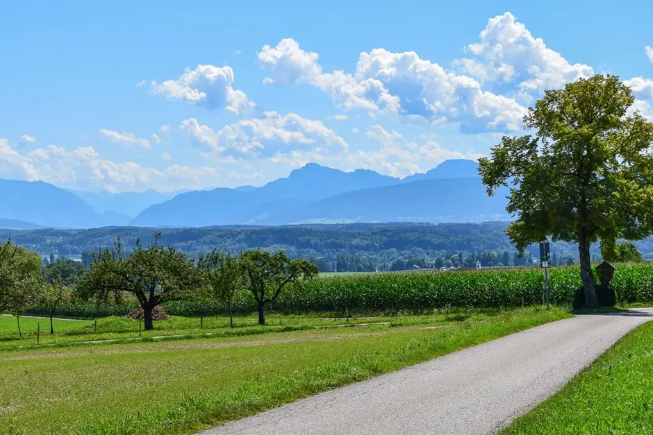 Blick von Bicheln auf die Chiemgauer Alpen und den Waginger See