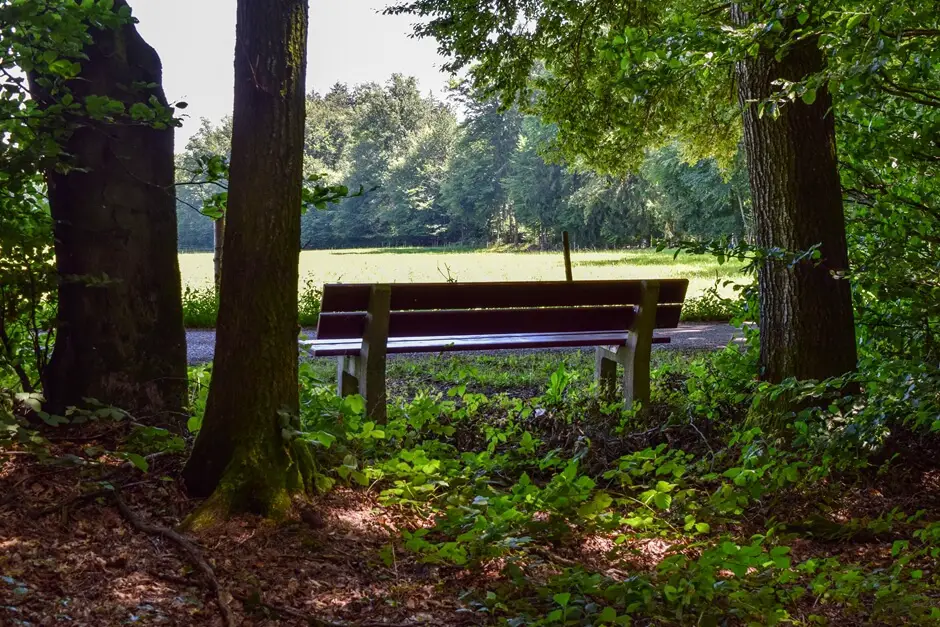 A perfect picnic area near the Waginger See