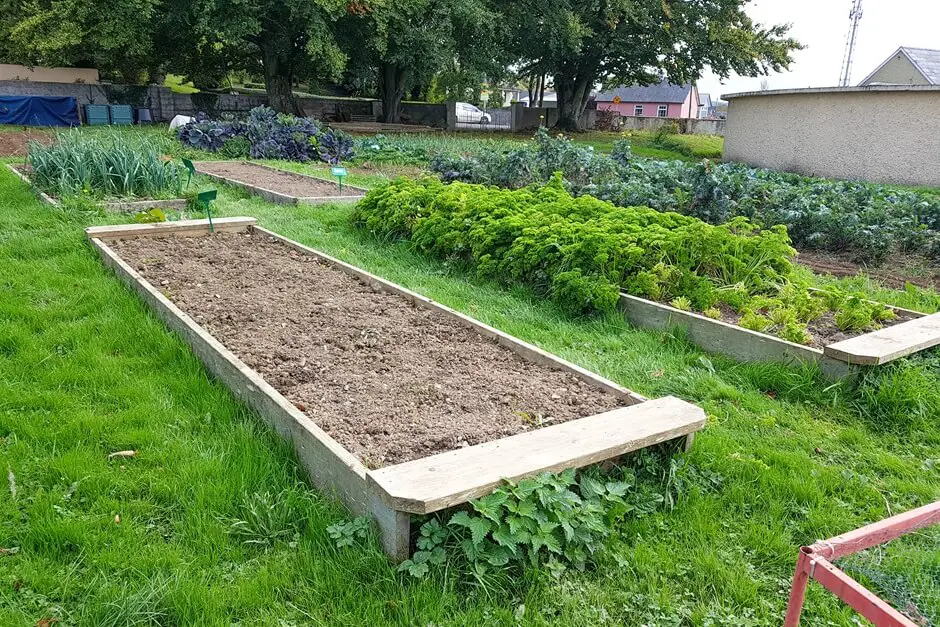 Gemüsebeete der School of Food in Thomastown