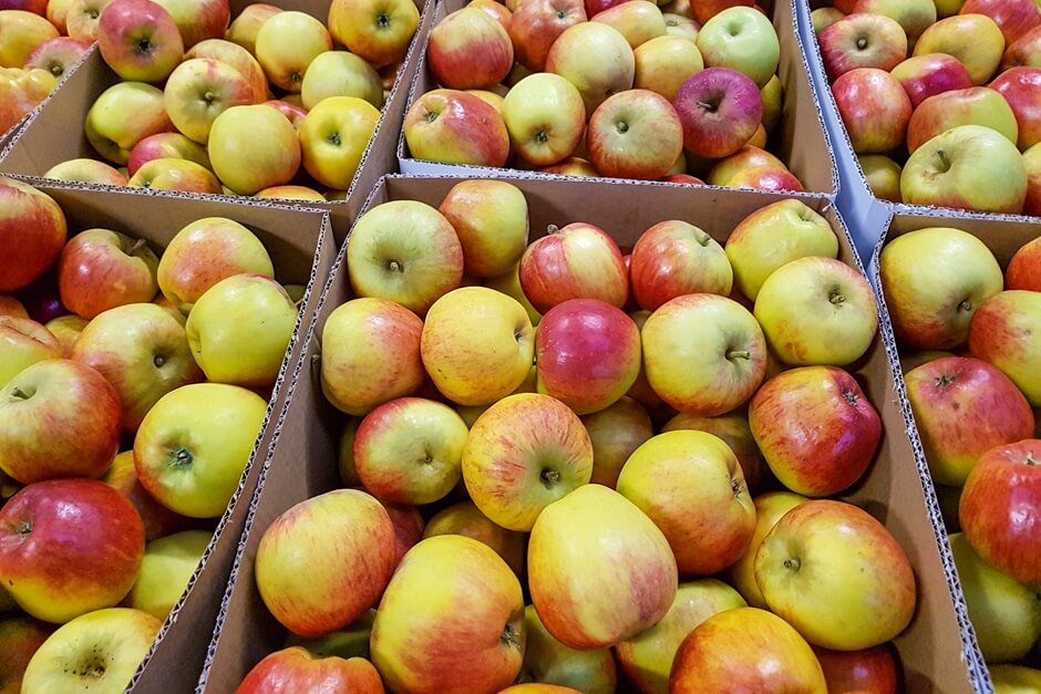 Genussreisen pur auf der Apple Farm in Cahir