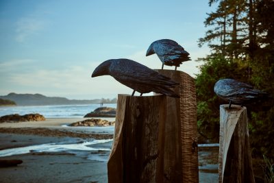 Chesterman Beach Ravens Michael Becker - Crafts and Design