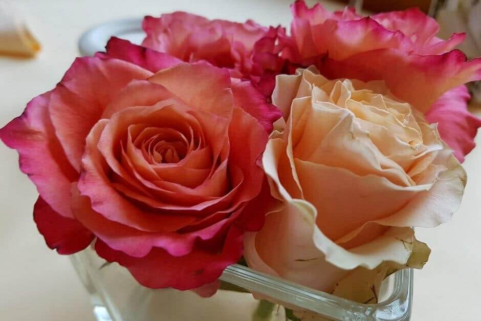 Table decoration at breakfast