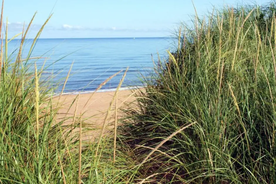 Am Pazifik Strand - Auswandern wohin in Kanada