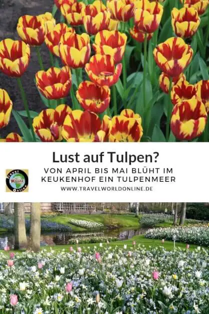 Lust auf Tulpen