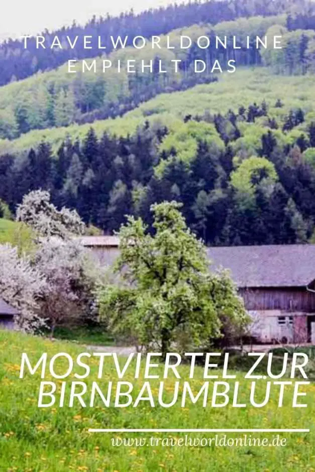 Mostviertel to the pear tree blossom