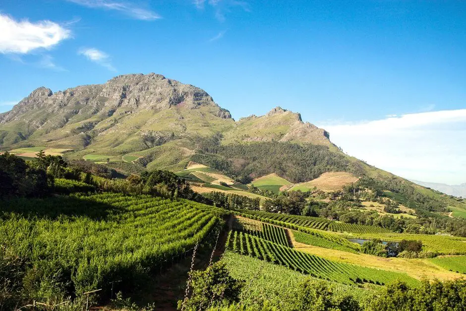 Panorama at Paarl