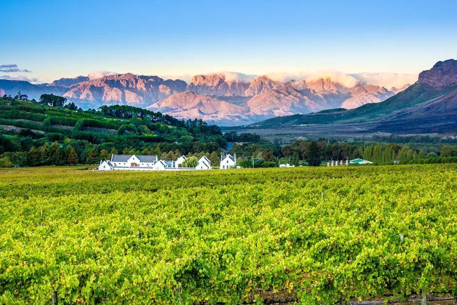 Stellenbosch Weingut, eine der Weinfarmen in Südafrika