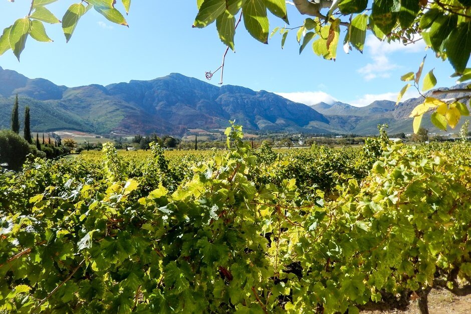 Discover the 5 best located wineries in South Africa
