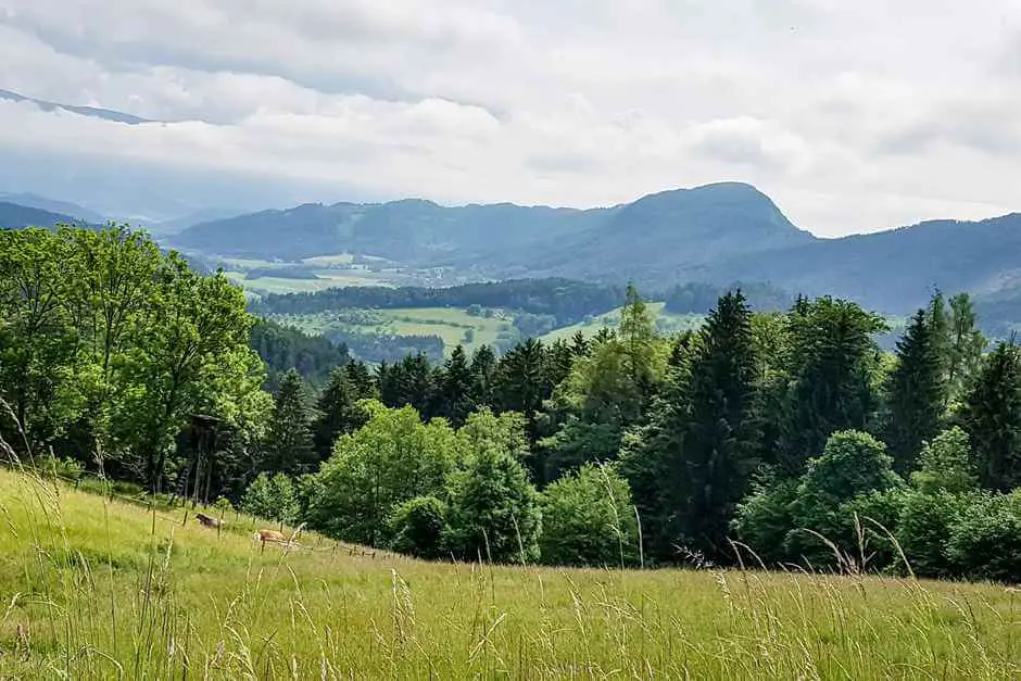 Kärnten bietet sich an für einen Klosterurlaub im Benediktinerstift St Paul im Lavanttal