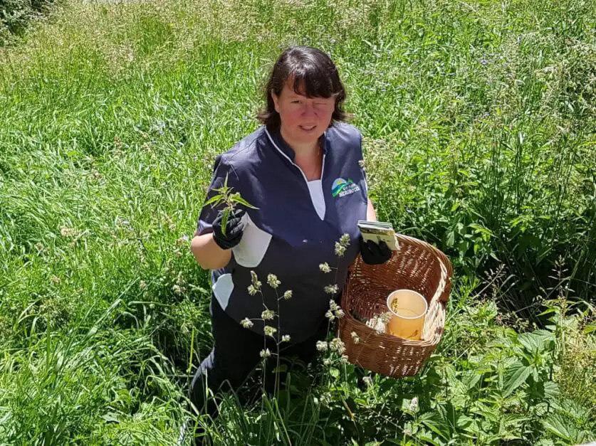 Hike through herb meadows with Sandra Egartner in the Lesach Valley