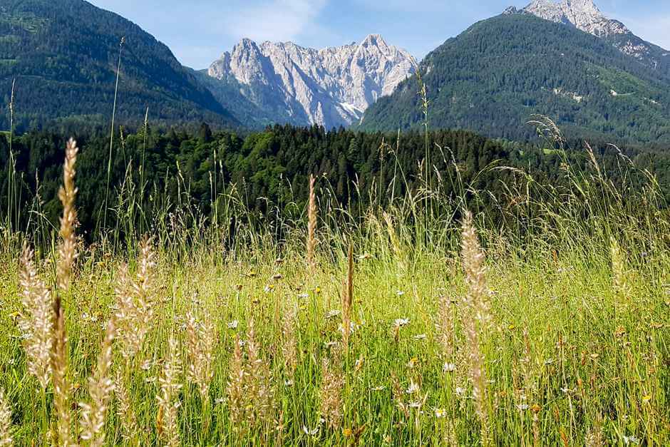 Die Karnischen Alpen