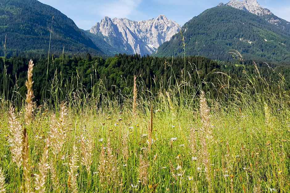 The Carnic Alps