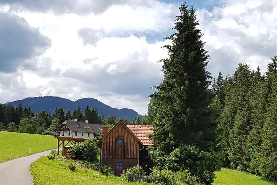 Auf dem Weg ins Dürnberger Moor