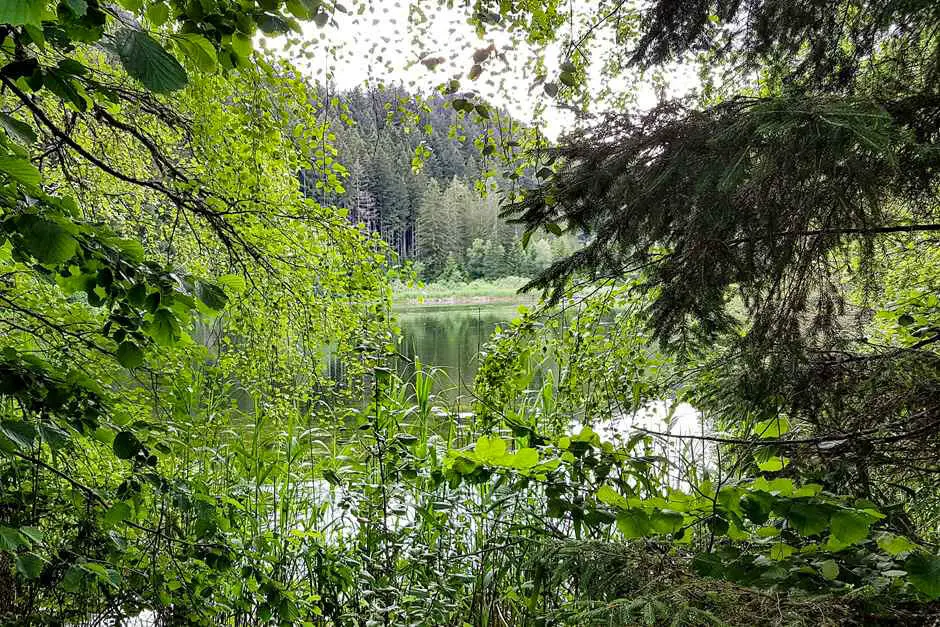 Murau Steiermark Ausflugsziele Wandern in der Urlaubsregion Murau