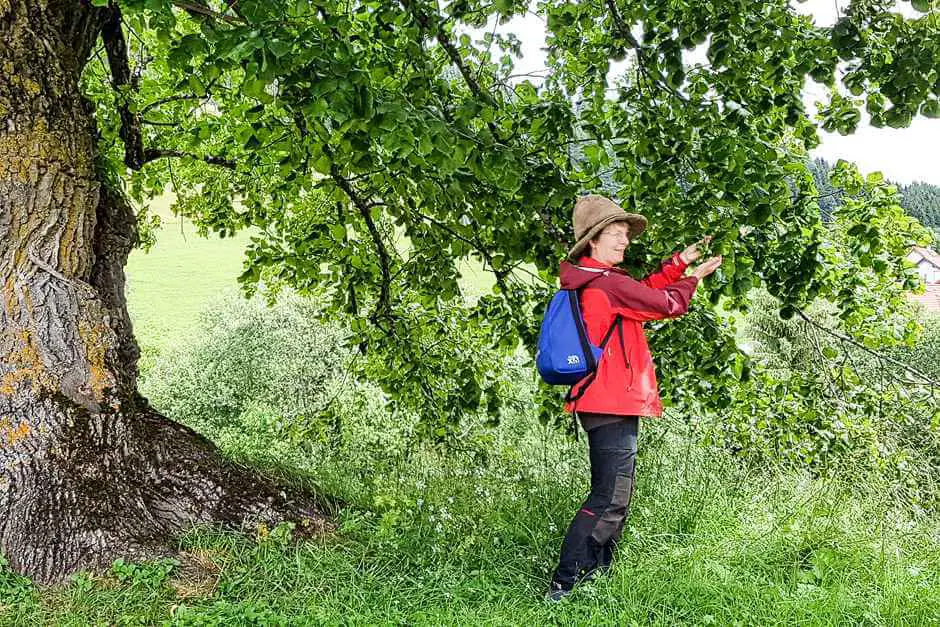 Unterwegs mit Holzweltbotschafterin Gudrun