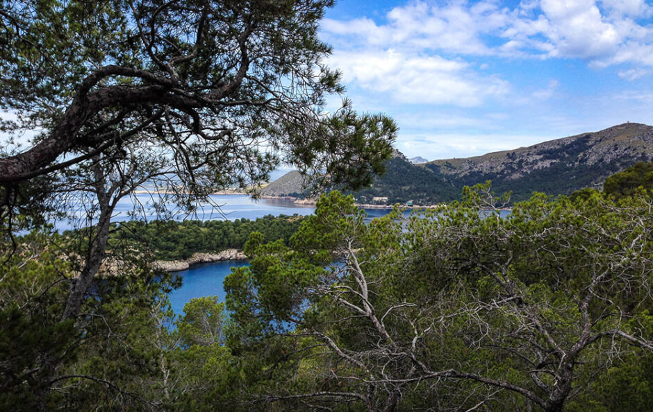 Outlook during a hike in Mallorca
